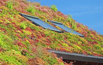 High Casterton living roof systems